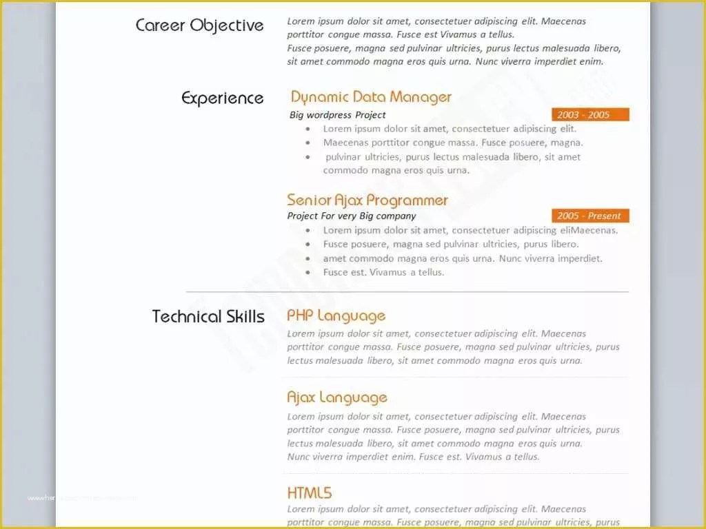 Creating Your First Job Application: A Guide to Using the Basic Resume Template Microsoft Word 2003