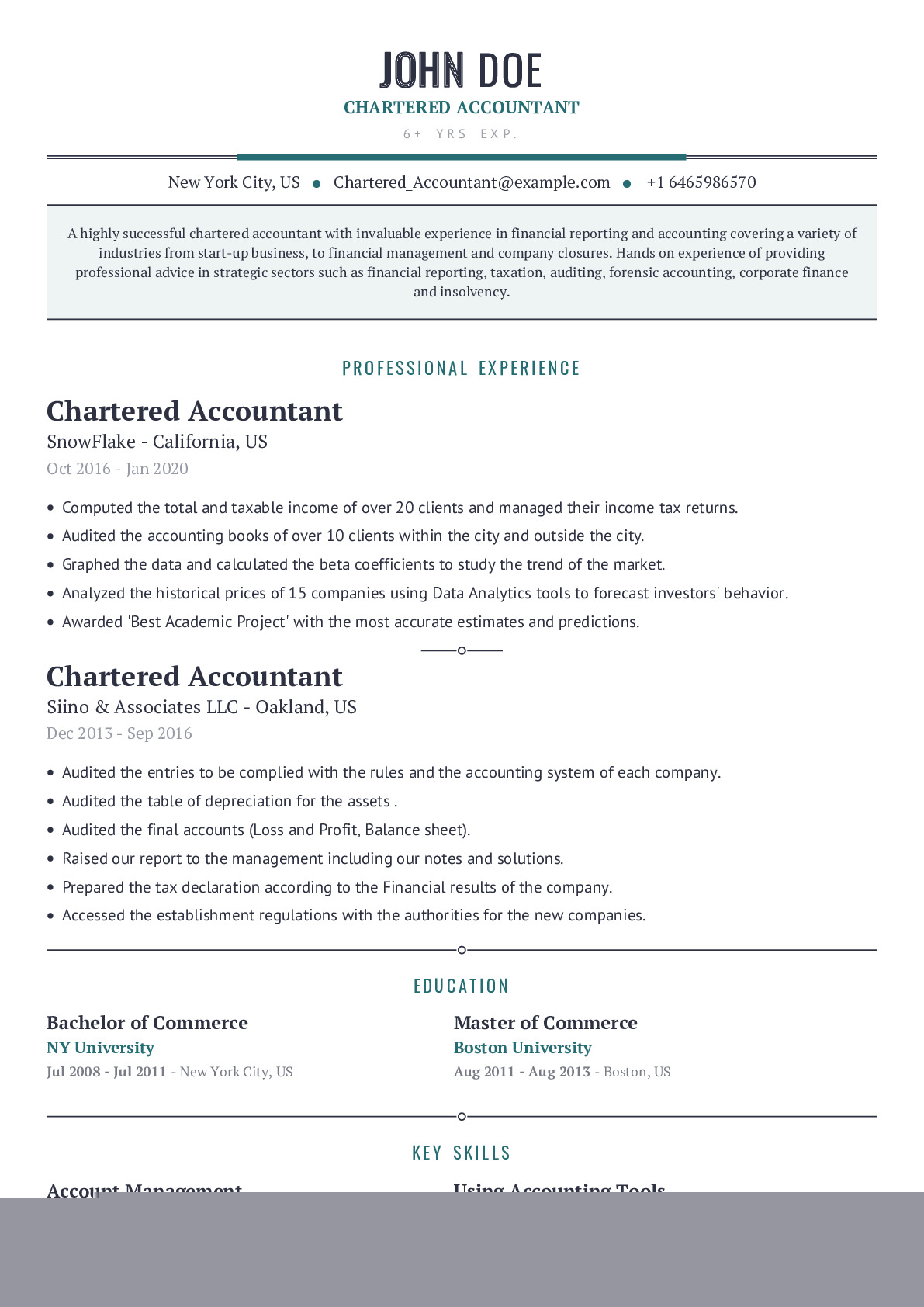 Discover the Best Resume Format Chartered Accountant for Landing Your Dream Job