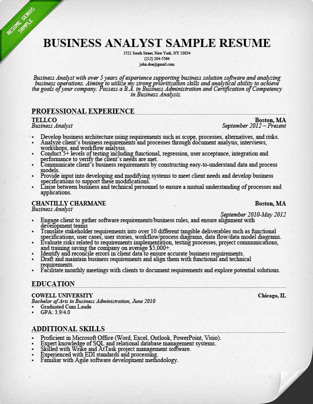 Essential Business Analyst Resume Examples to Help You Stand Out