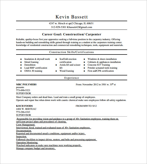 Craft the Perfect Job Application with Our Carpenter Resume Template Microsoft Word