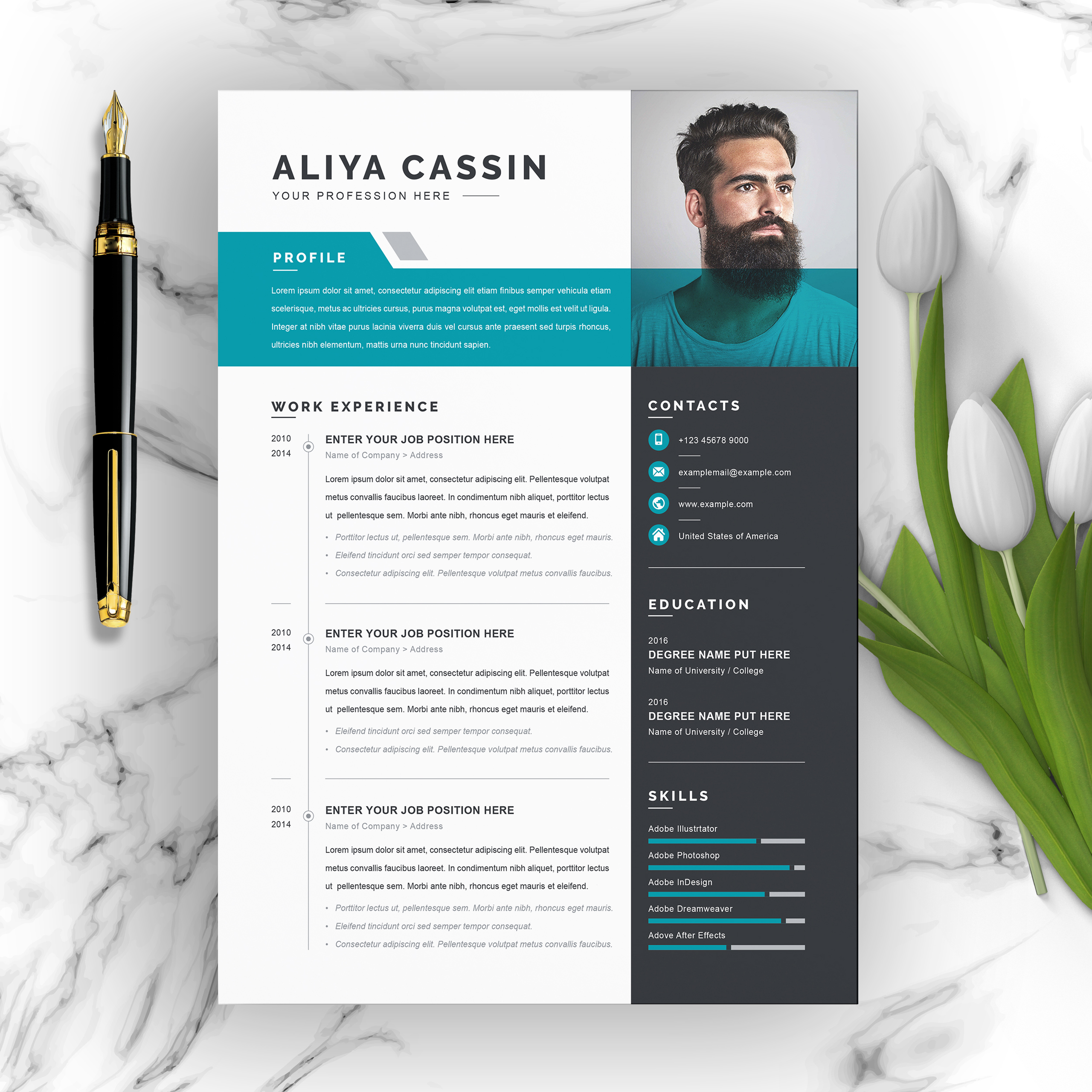 Elevate Your Job Application: The Power of Creative Resume Design Templates