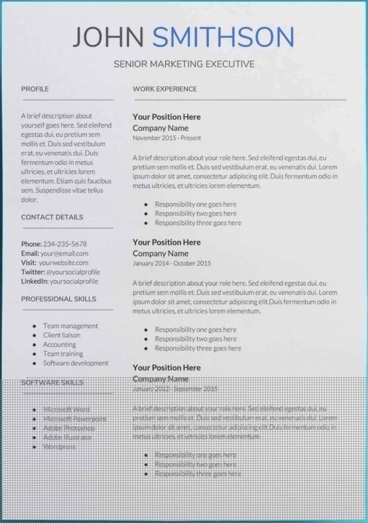Discover the Best Google Docs Resume Template Reddit Users Swear By