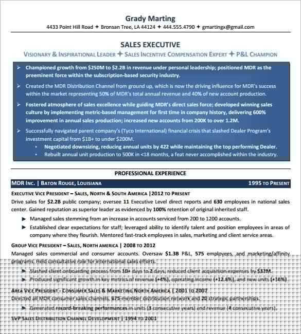Unlock Your Potential with Microsoft Executive Resume Templates