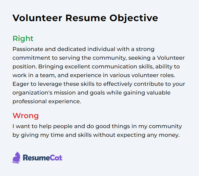 Inspiring Resume Objective Examples For Volunteer Work