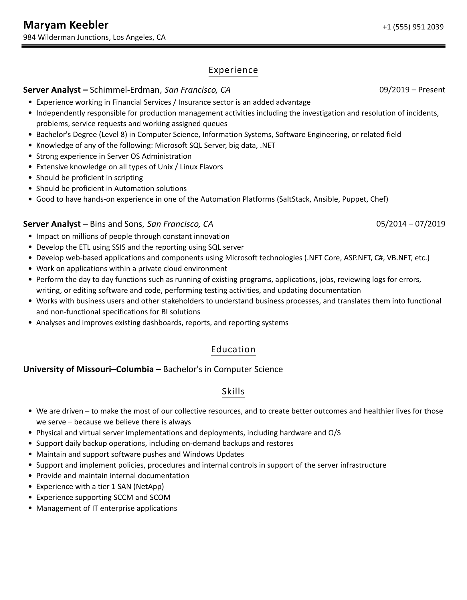 Crafting the Perfect Server Analyst Resume: Tips and Examples to Stand Out